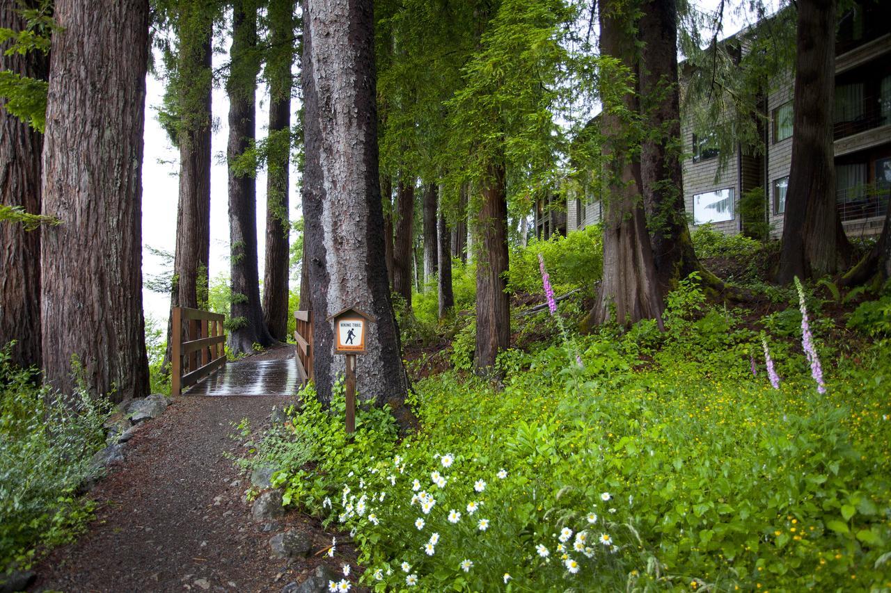 Lake Quinault Lodge Экстерьер фото